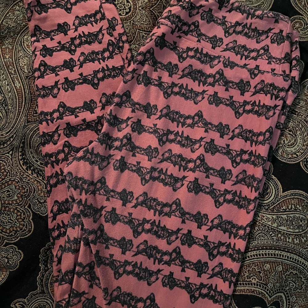 Lularoe leggings one size